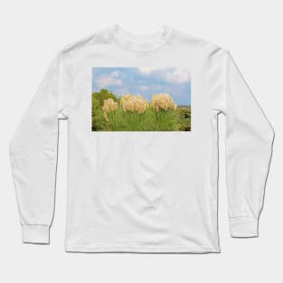 Pampas Grass Long Sleeve T-Shirt